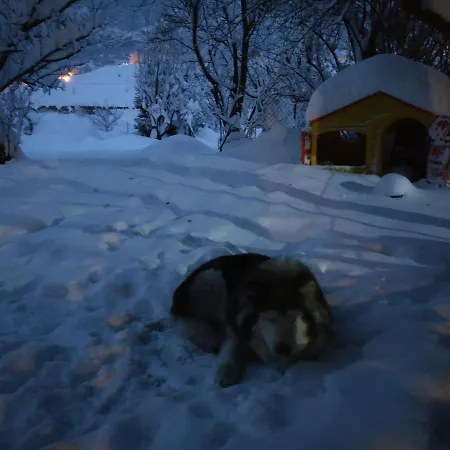 Bed & Breakfast Euroski Aosta
